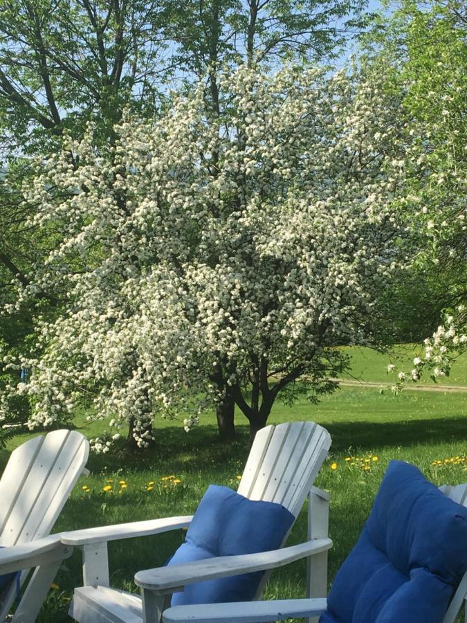 Gite Au Toit Bleu Bed & Breakfast Sainte-Famille Екстериор снимка